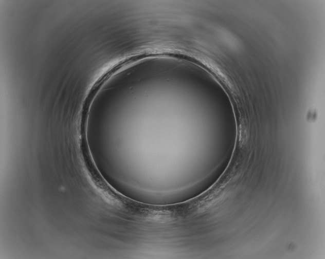 X0000097600438200803071432