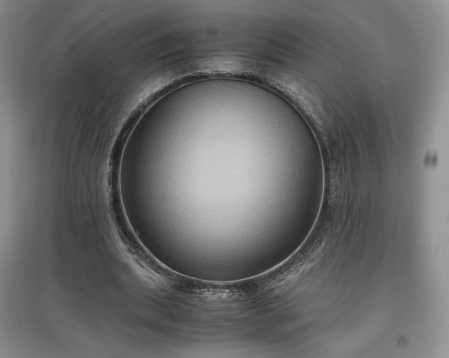 X0000097600439200803071432