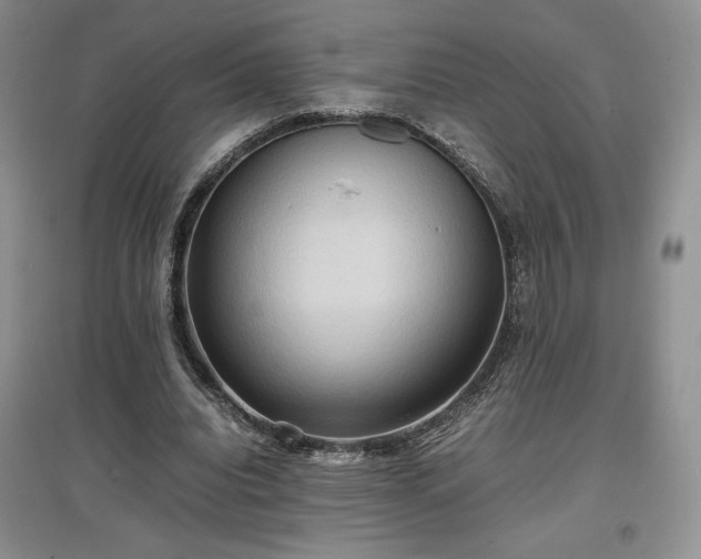 X0000097600440200803071432