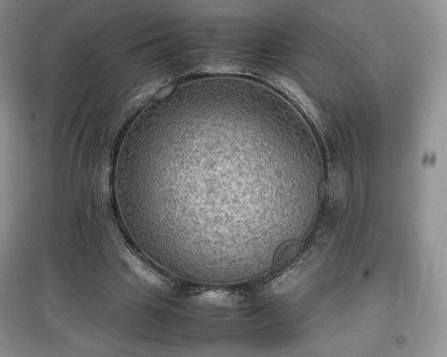 X0000097600441200803071432