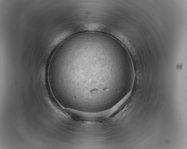 X0000097600442200803071432