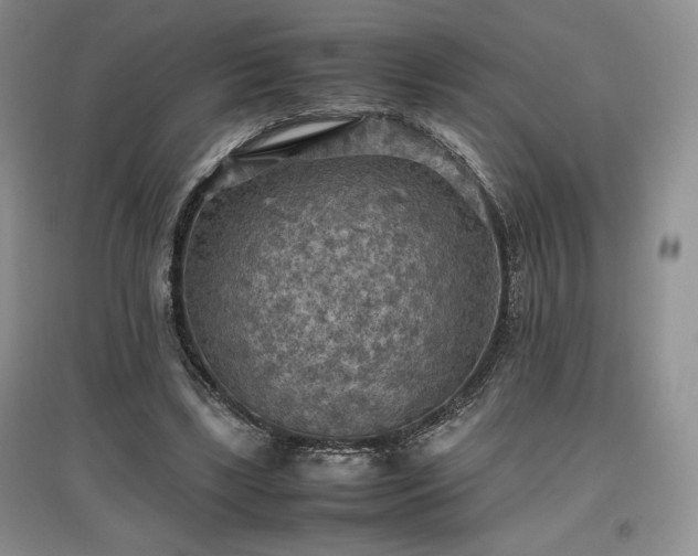 X0000097600443200803071432