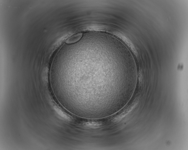 X0000097600445200803071432