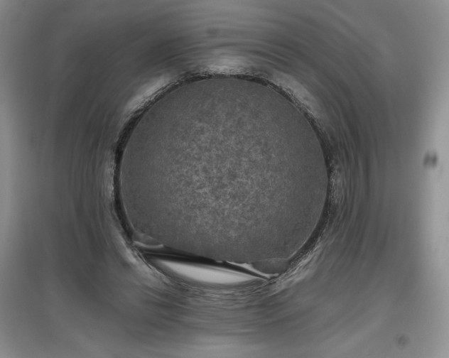 X0000097600446200803071433