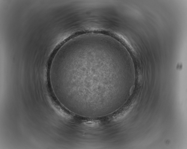 X0000097600447200803071433
