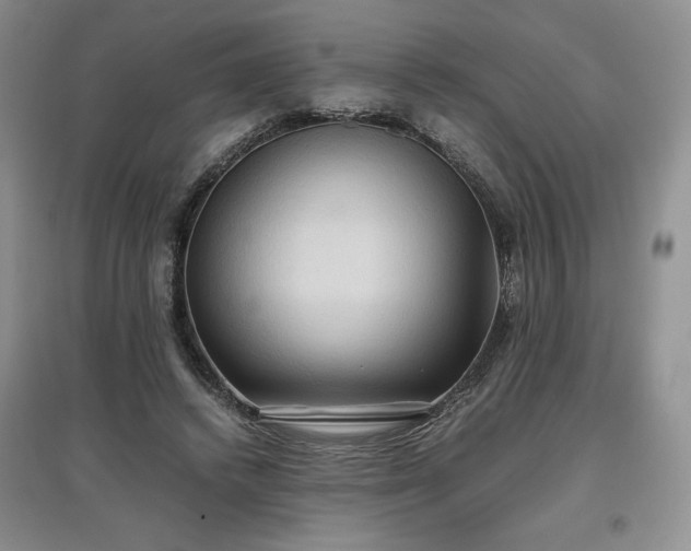 X0000097600448200803071433