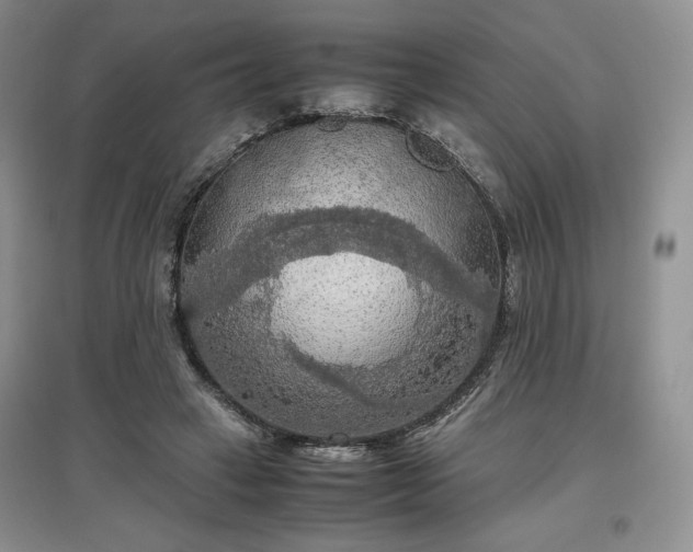 X0000097600449200803071433