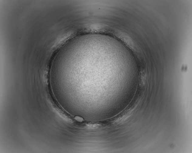 X0000097600450200803071433