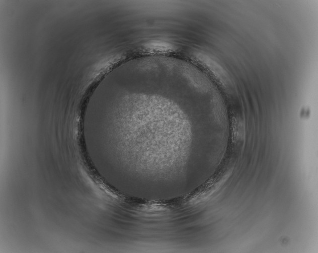X0000097600451200803071433