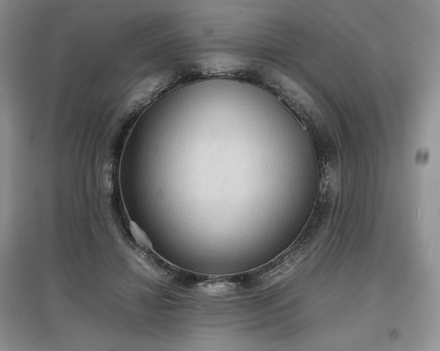 X0000097600452200803071433