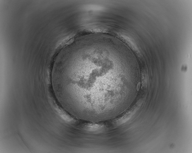 X0000097600453200803071433