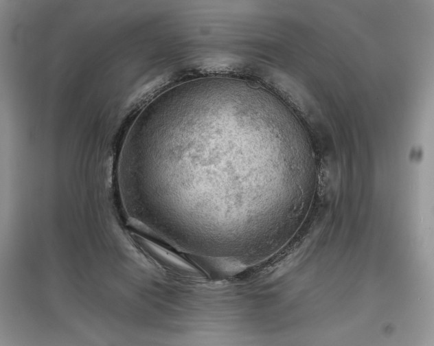 X0000097600454200803071433