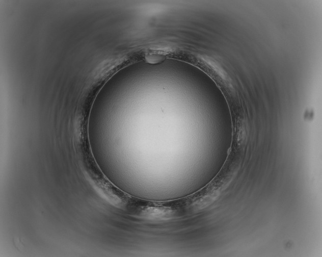 X0000097600455200803071433
