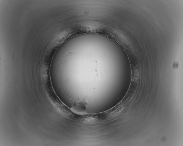 X0000097600456200803071433