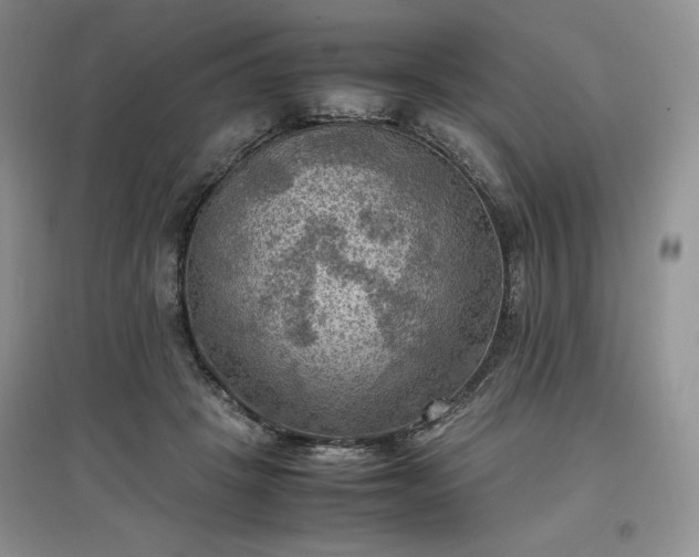 X0000097600457200803071433