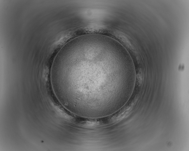 X0000097600458200803071433