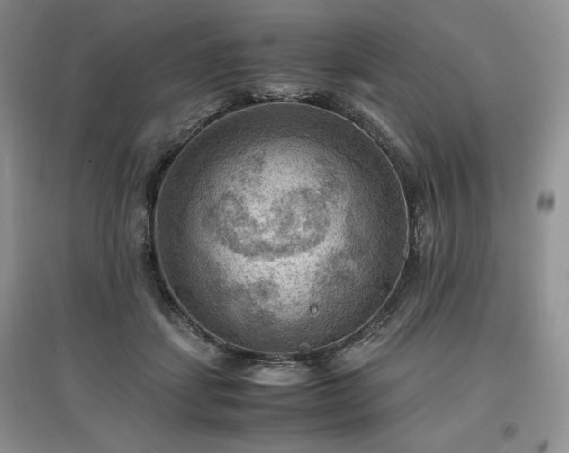 X0000097600459200803071433
