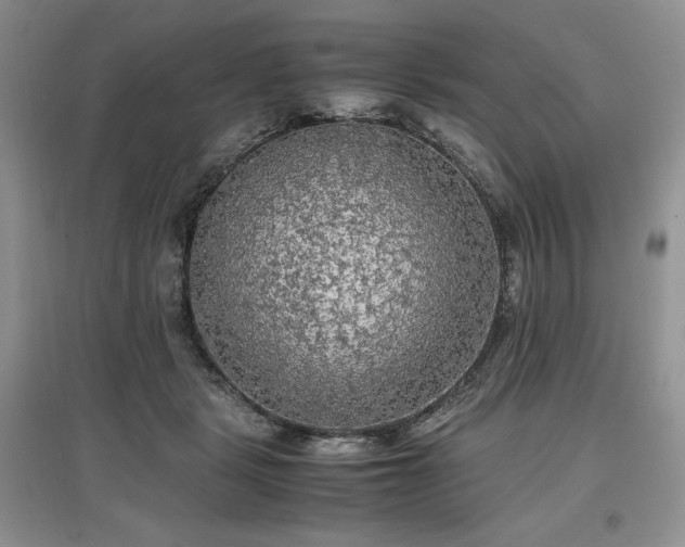 X0000097600461200803071433