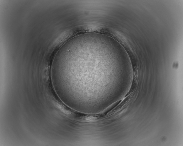 X0000097600462200803071433