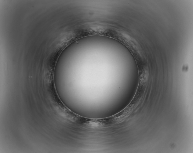X0000097600464200803071433
