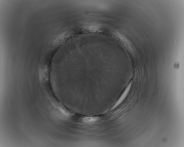 X0000097600465200803071433