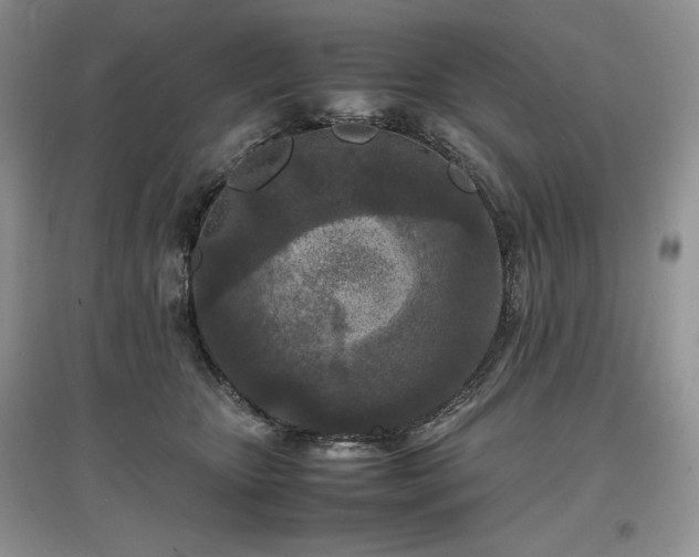 X0000097600467200803071433