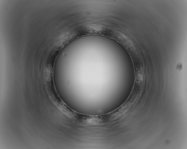 X0000097600468200803071433