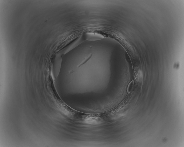 X0000097600471200803071433
