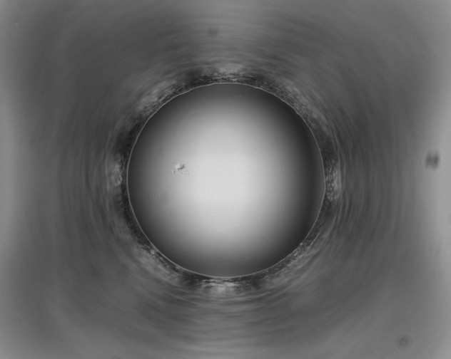X0000097600472200803071433