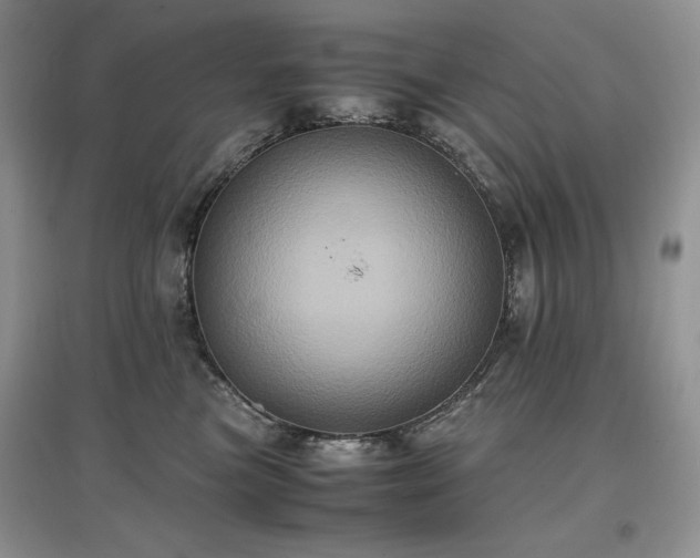 X0000097600473200803071433