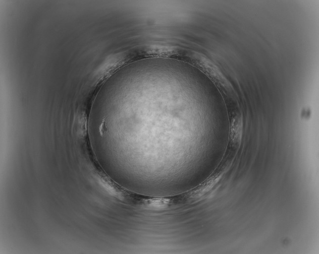 X0000097600474200803071433