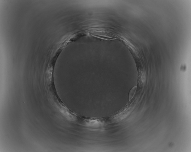 X0000097600475200803071433