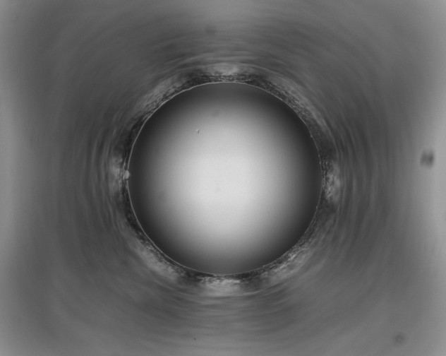X0000097600476200803071433