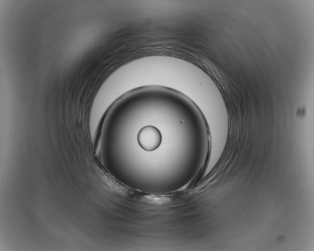 X0000097600477200803071433