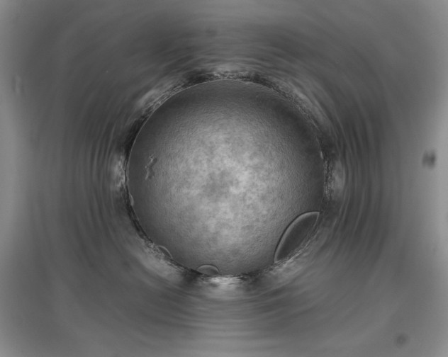 X0000097600478200803071433
