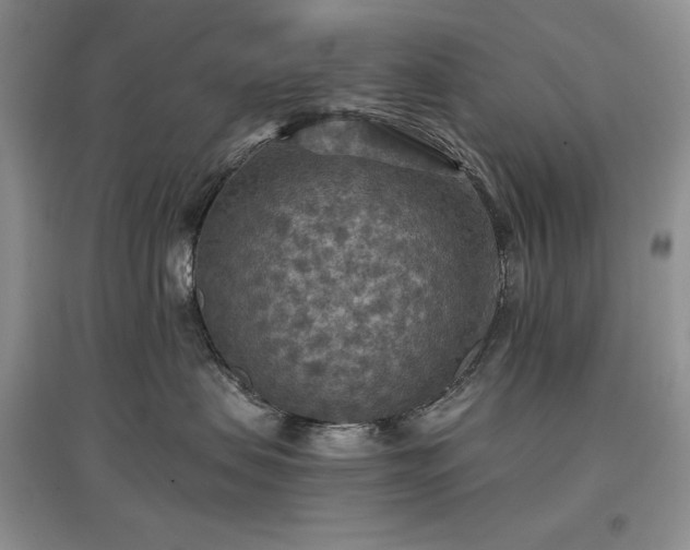 X0000097600479200803071433
