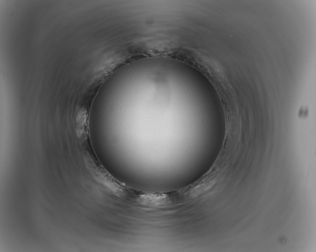 X0000097600480200803071433