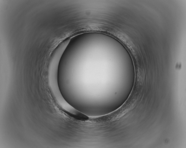 X0000097600481200803071432