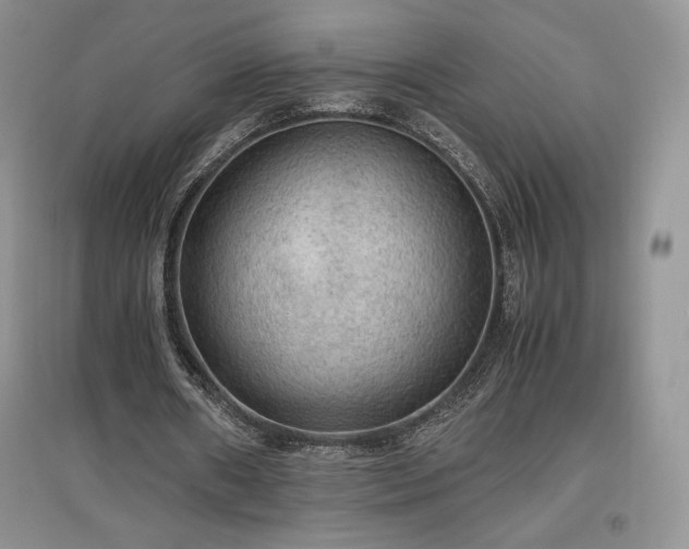 X0000097600482200803071432