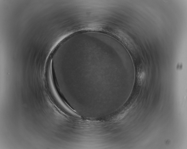 X0000097600484200803071432