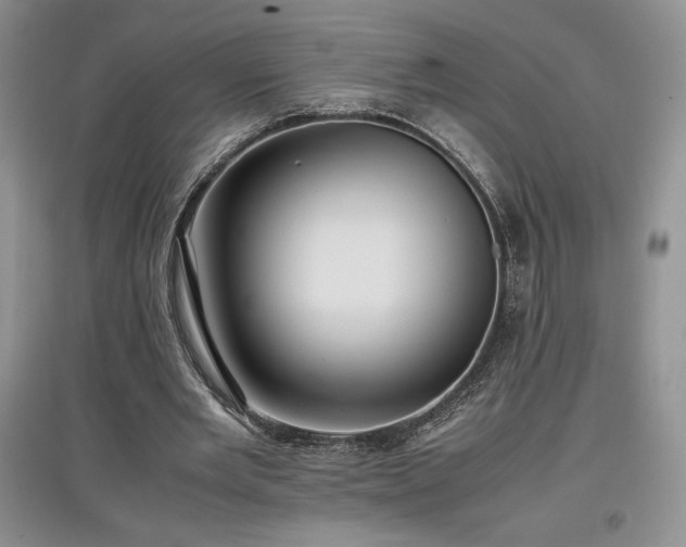 X0000097600485200803071432