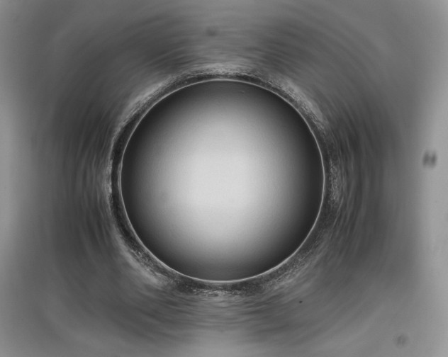 X0000097600486200803071432