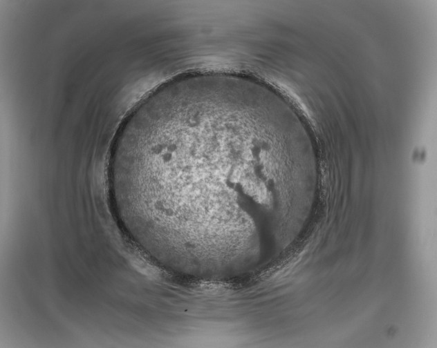 X0000097600487200803071432