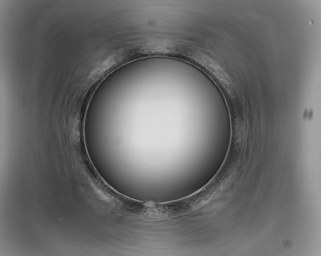 X0000097600489200803071432