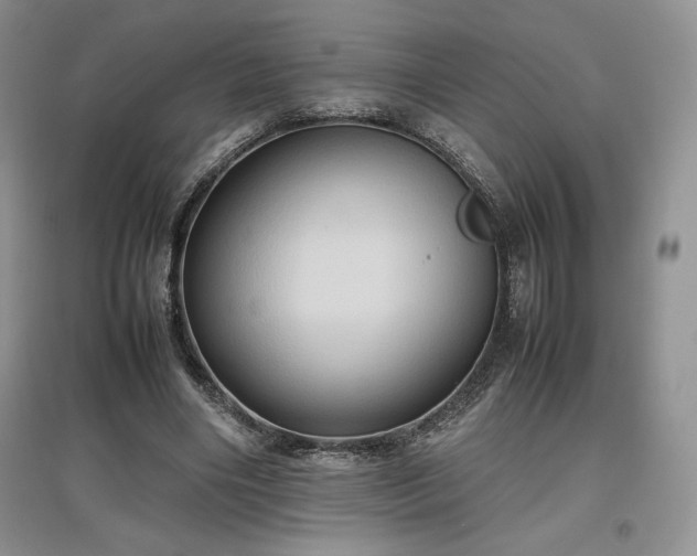 X0000097600490200803071432