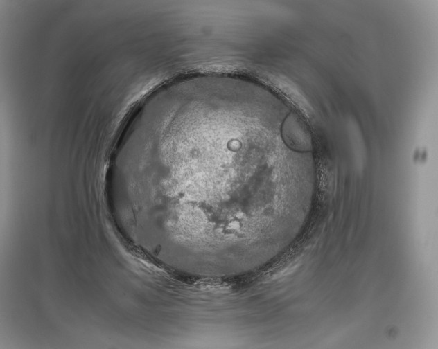 X0000097600491200803071432