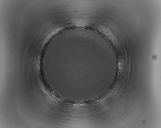 X0000097600492200803071432