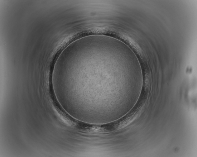 X0000097600493200803071432