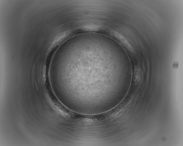 X0000097600494200803071432
