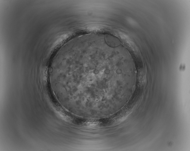 X0000097600495200803071432